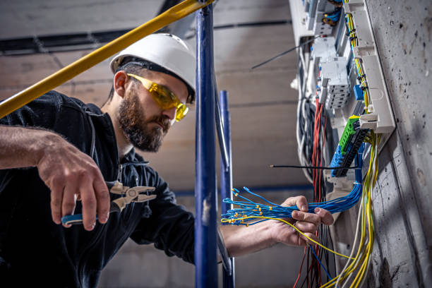 Best Electric Panel Repair  in Pierce, CO